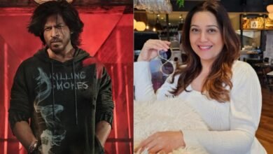 When Shah Rukh Khan Helped Astitva Actress Niki Aneja During A Car Accident